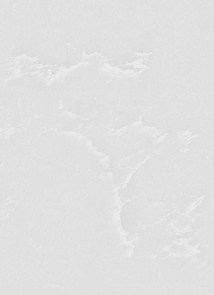Carrara Grigio